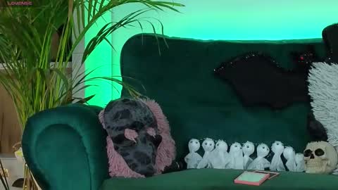 AveryWillow online show from 10-27-25, 04:49