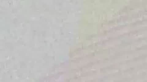 Snapshot of avgjoe555 chatting on 06-29-26, 02:17 avgjoe555 online show from 06-29-26, 02:17