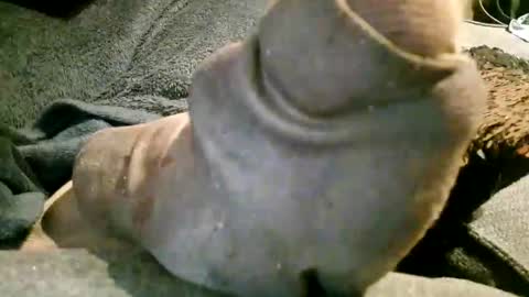 Snapshot of axelle_garcia chatting on 11-07-25, 10:21 Axelle online show from 11-07-25, 10:21