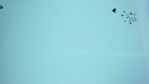 Snapshot of ayheleen_sexygirl3 chatting on 03-12-25, 11:12 Mariana online show from 03-12-25, 11:12