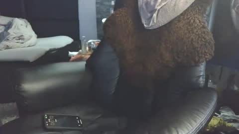 Badboy95 online show from 04-03-26, 04:10