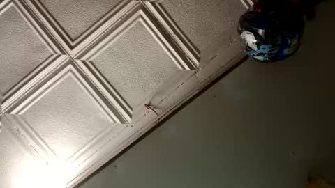 StillPoPimpin online show from 01-18-25, 10:06