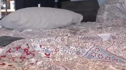 Snapshot of baker305 chatting on 09-29-25, 04:17 baker305 online show from 09-29-25, 04:17