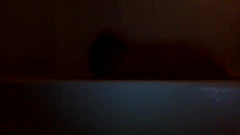 lets fuck my cock online show from 12-05-24, 07:27