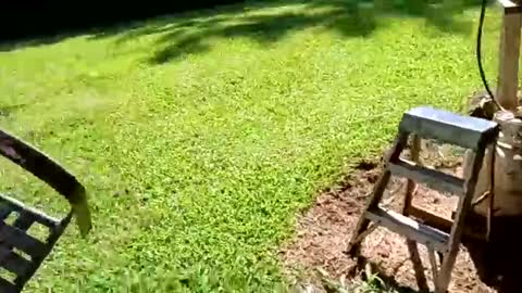 ballshanginglowaf online show from 09-19-25, 07:36