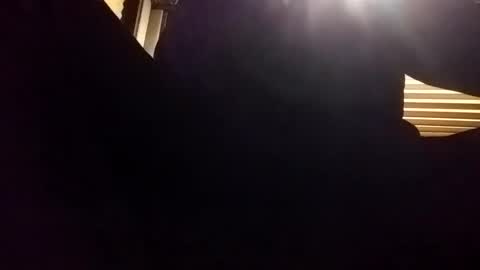 baobabtree8 online show from 12-24-24, 02:10