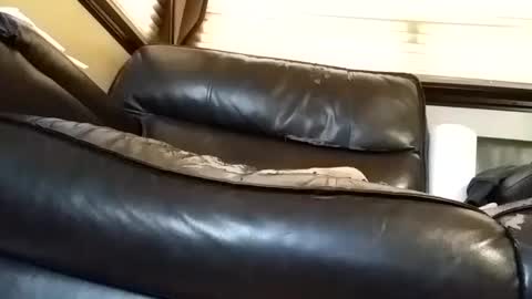 baobabtree8 online show from 03-06-25, 02:29