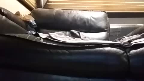 baobabtree8 online show from 09-26-25, 12:53