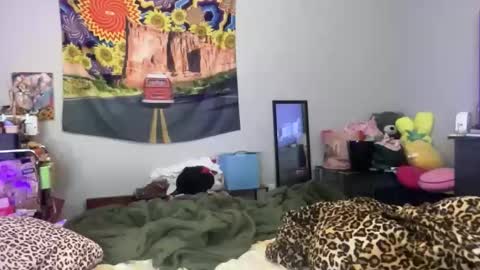 Bardot Eyed online show from 12-16-25, 08:47