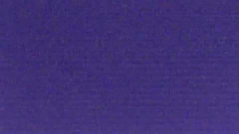 bartbartek online show from 11-09-25, 06:01