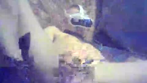 bartbartek online show from 05-16-26, 05:34