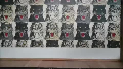 Snapshot of basrutten1 chatting on 03-06-25, 04:07 Bas online show from 03-06-25, 04:07