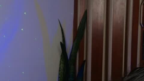 Snapshot of bastiel_ chatting on 05-27-26, 01:57 Bastiel online show from 05-27-26, 01:57