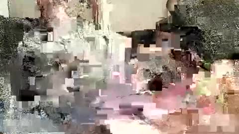 Batman online show from 01-02-25, 12:02