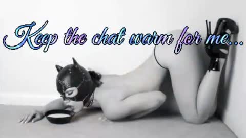 Snapshot of batmansfavoritewife chatting on 07-01-26, 04:58 Your always sexy Harley online show from 07-01-26, 04:58