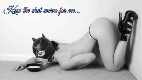 Snapshot of batmansfavoritewife chatting on 07-08-26, 08:19 Your always sexy Harley online show from 07-08-26, 08:19