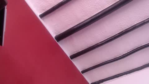 bayonette_black online show from 12-13-24, 11:23