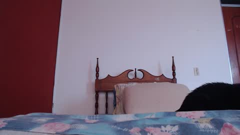 bayonette_black online show from 09-27-25, 12:10