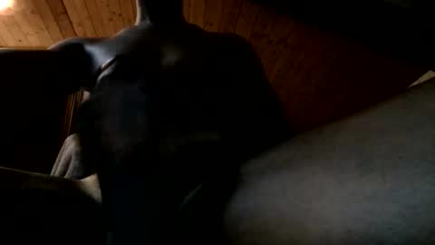 Snapshot of bbc4bearsndaddies chatting on 06-02-26, 09:39 Ferdinandooo online show from 06-02-26, 09:39