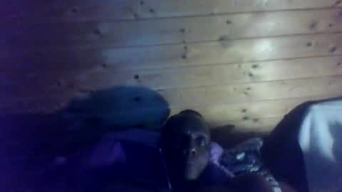 Snapshot of bbcmasterxl chatting on 12-22-25, 01:02 bbcmasterxl online show from 12-22-25, 01:02