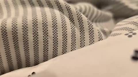 bbjj1970 online show from 04-25-26, 01:41