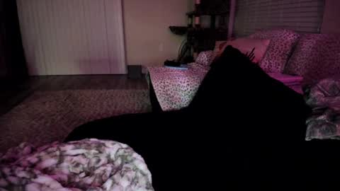 Shasta online show from 04-06-26, 04:32