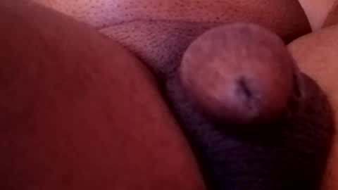 bcfalcon69 online show from 02-13-26, 05:36