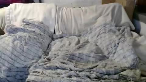 BeachyMILF online show from 12-18-25, 04:13