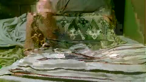 Snapshot of beagle1 chatting on 11-01-25, 08:55 beagle1 online show from 11-01-25, 08:55