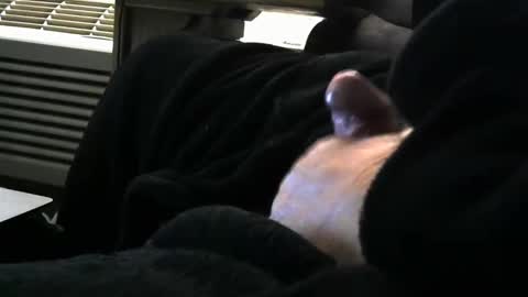 Snapshot of bear4146 chatting on 03-29-26, 01:00 bear4146 online show from 03-29-26, 01:00