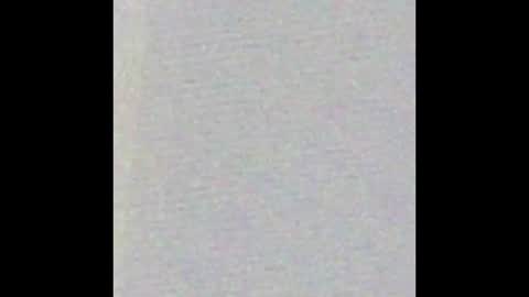 Bearvixen online show from 01-09-26, 04:21