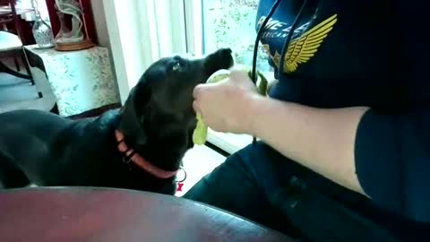 Beardman online show from 04-07-26, 05:57