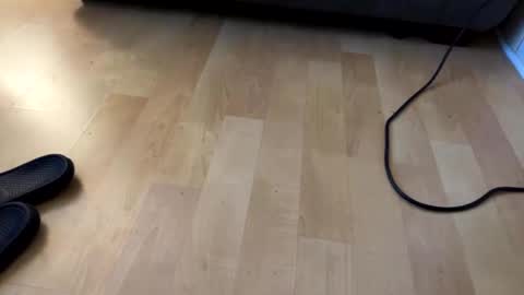 beard online show from 12-06-24, 07:54