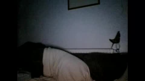 beatlebut online show from 10-01-25, 06:25