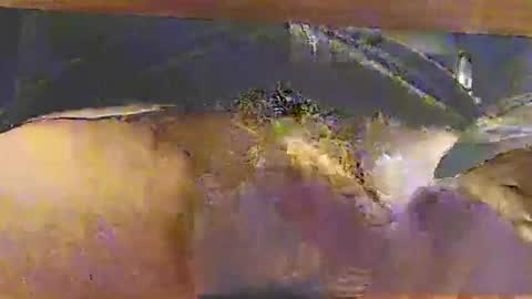 bebbi78022 online show from 10-26-25, 03:34