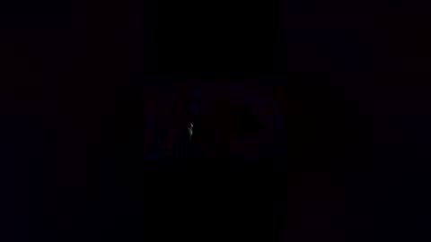 Chocolate Bee online show from 04-24-26, 09:34