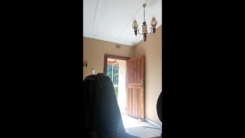beennudeislife online show from 05-22-26, 07:59