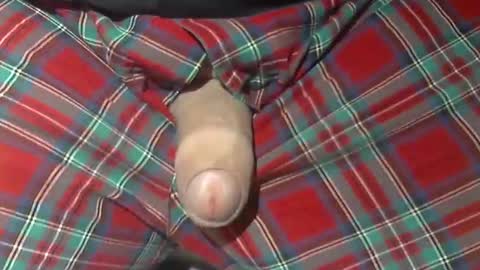 Snapshot of beer27 chatting on 10-21-25, 10:05 Reservoir Dogs online show from 10-21-25, 10:05