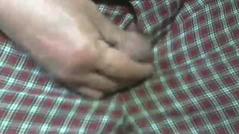 Snapshot of beer27 chatting on 10-31-25, 05:47 Reservoir Dogs online show from 10-31-25, 05:47