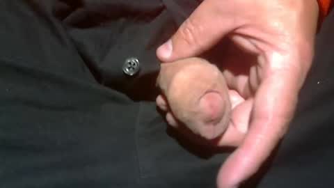 Snapshot of beer27 chatting on 11-02-25, 01:41 Reservoir Dogs online show from 11-02-25, 01:41