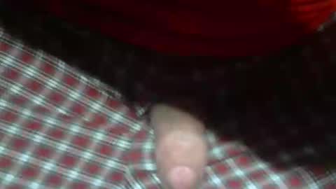 Snapshot of beer27 chatting on 02-05-26, 12:48 Reservoir Dogs online show from 02-05-26, 12:48