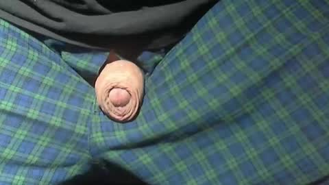 Snapshot of beer27 chatting on 02-15-26, 02:52 Reservoir Dogs online show from 02-15-26, 02:52