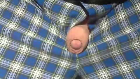 Snapshot of beer27 chatting on 02-19-26, 11:28 Reservoir Dogs online show from 02-19-26, 11:28