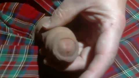 Snapshot of beer27 chatting on 03-02-26, 04:36 Reservoir Dogs online show from 03-02-26, 04:36