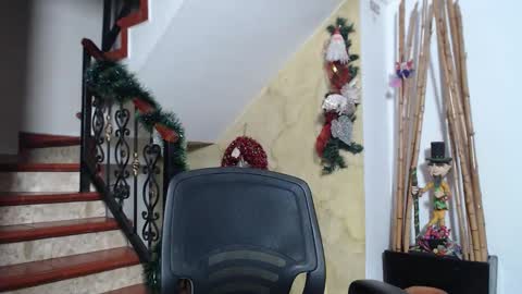 independent model online show from 11-29-25, 11:19