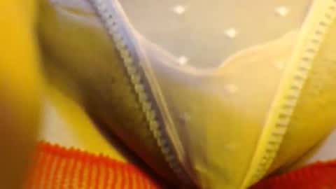 Snapshot of bellafoxfuck chatting on 05-27-26, 05:21 bellafox online show from 05-27-26, 05:21