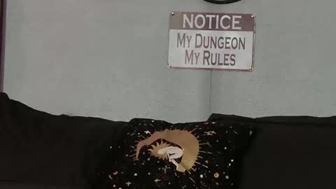 Bellaskeykeeper online show from 02-21-26, 08:37