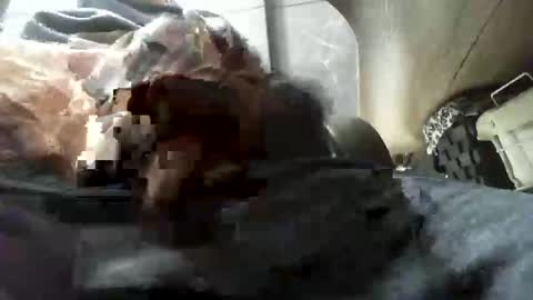 beninoam75 online show from 01-09-26, 07:33