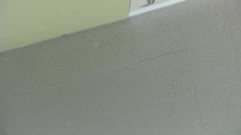 Ben online show from 03-02-25, 07:45