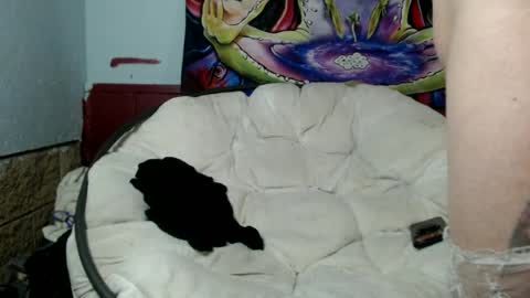 Bent Bunny online show from 07-08-26, 03:00